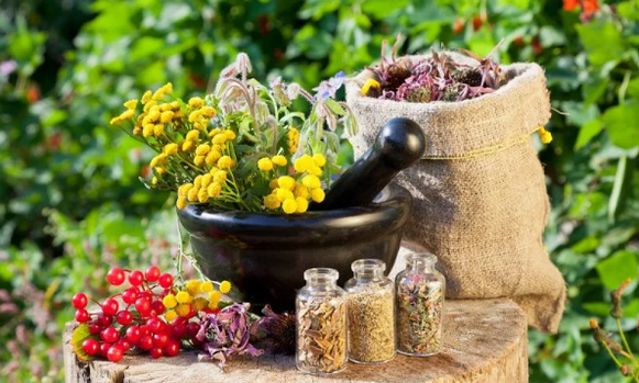 Herbes d'helminthes